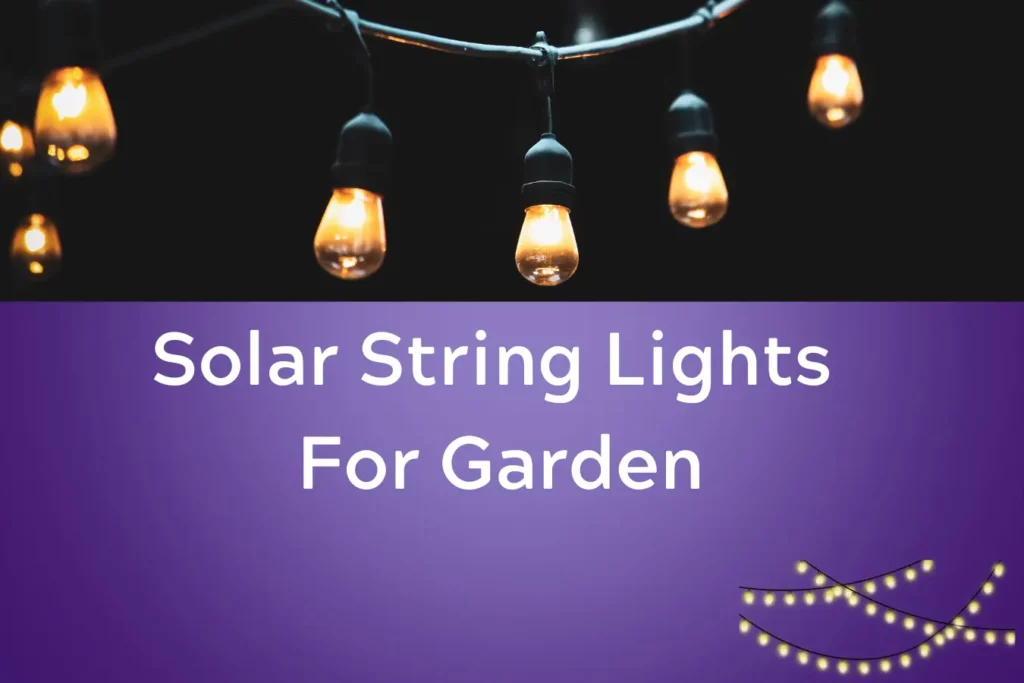 Solar String Lights For Garden